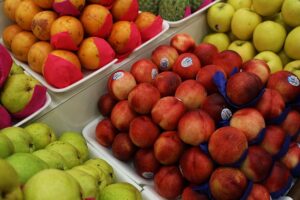 Nutricionista deportivo